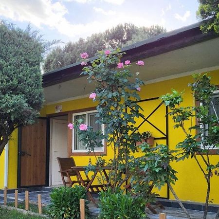 Armutlu Cicek Evler Tatil Koeyue酒店 外观 照片