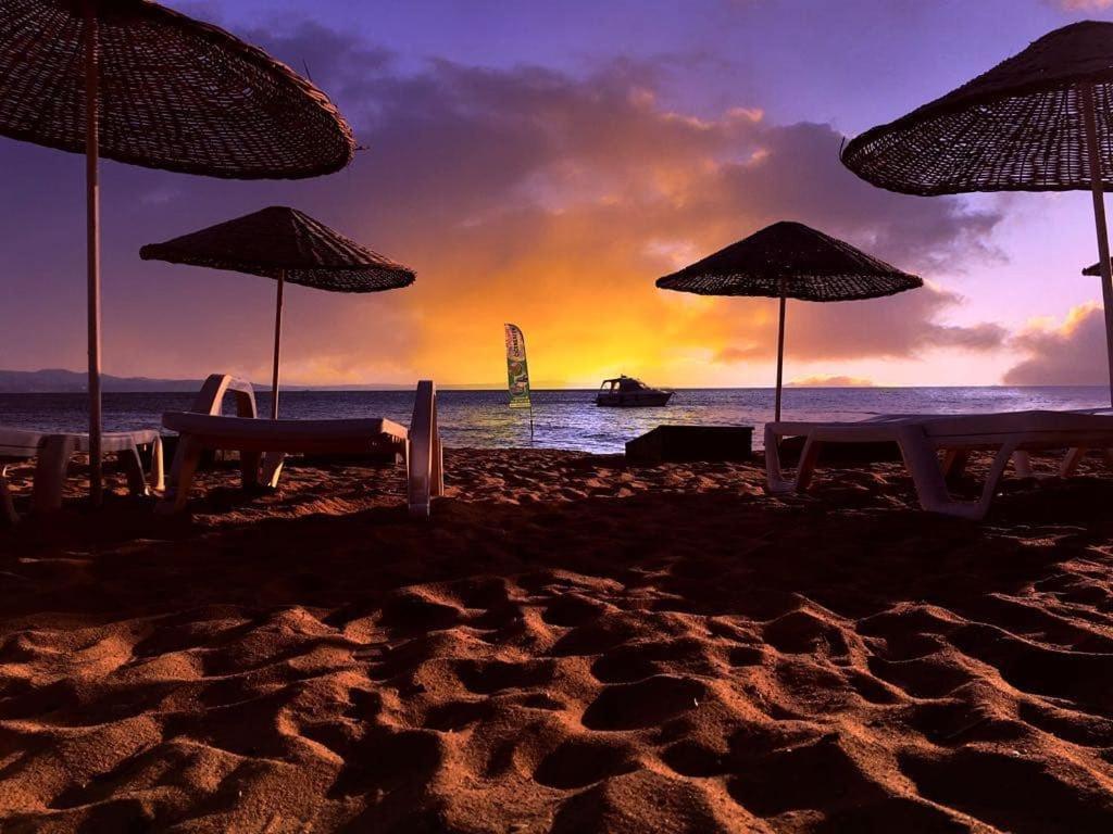 Armutlu Cicek Evler Tatil Koeyue酒店 外观 照片